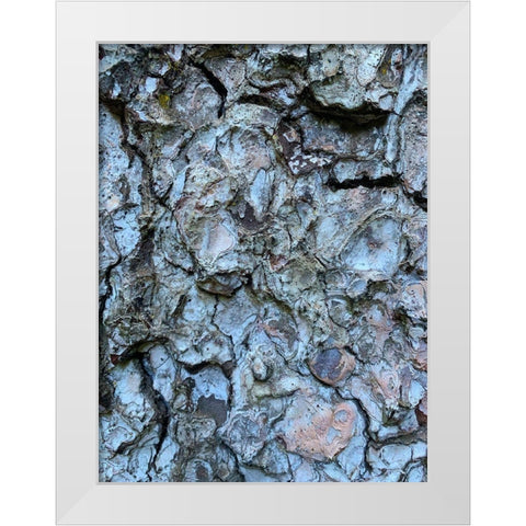 Bark Scales II White Modern Wood Framed Art Print by Grayscale