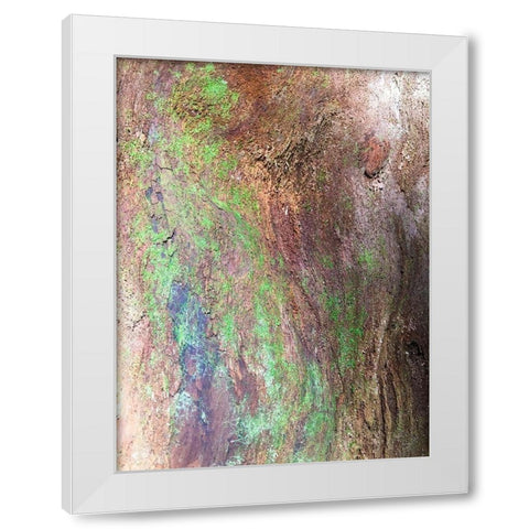 Bark and Moss III White Modern Wood Framed Art Print by Grayscale