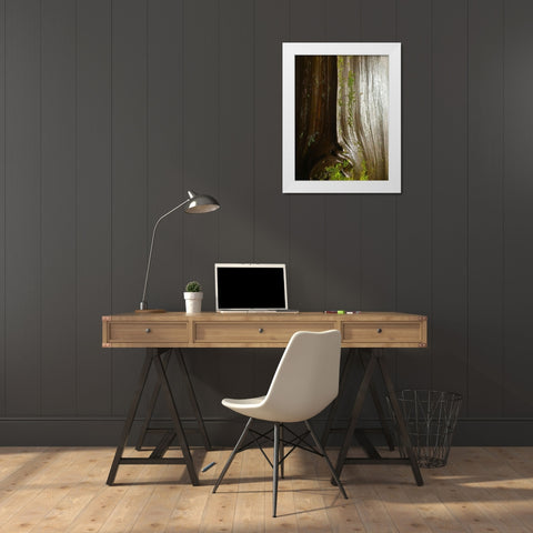 Bark and Moss IV White Modern Wood Framed Art Print by Grayscale