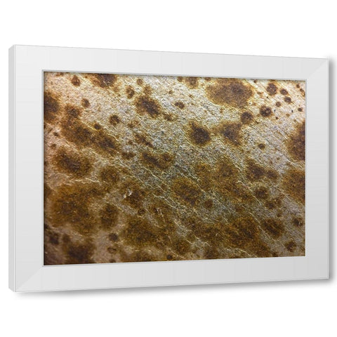 Silver Texture I White Modern Wood Framed Art Print by Grayscale