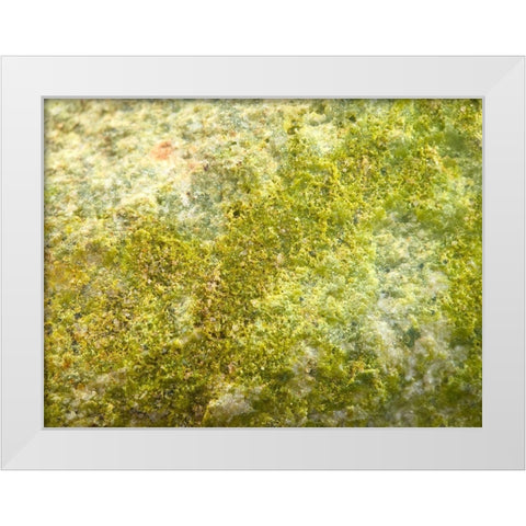 Jade Sand I White Modern Wood Framed Art Print by Grayscale