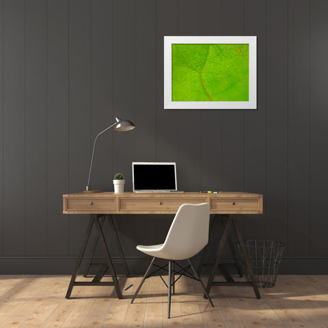 Green Leaf II White Modern Wood Framed Art Print by Grayscale
