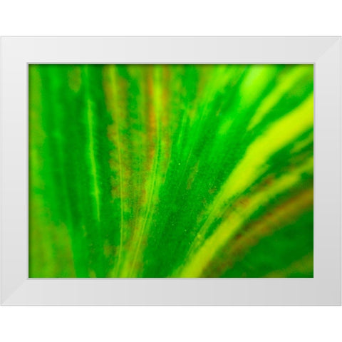 Green Leaf IV White Modern Wood Framed Art Print by Grayscale