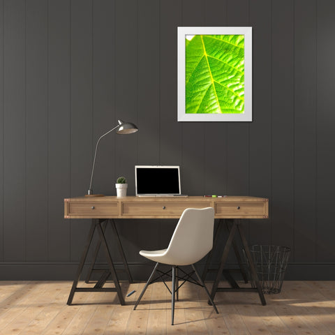 Green Leaf V White Modern Wood Framed Art Print by Grayscale