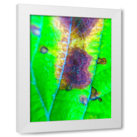 Green Leaf VII White Modern Wood Framed Art Print by Grayscale