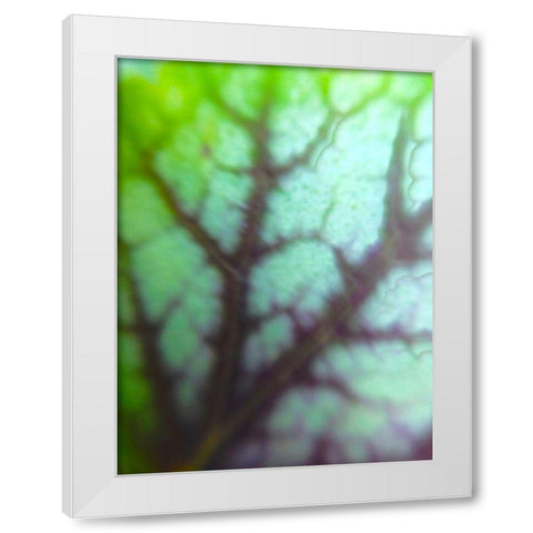 Green Leaf VIII White Modern Wood Framed Art Print by Grayscale