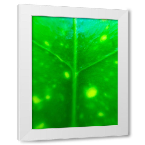 Green Leaf IX White Modern Wood Framed Art Print by Grayscale