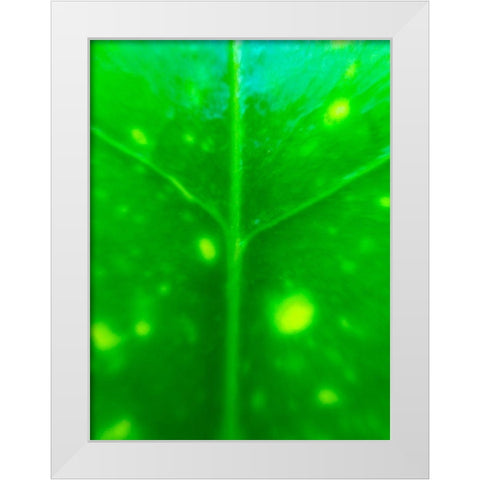 Green Leaf IX White Modern Wood Framed Art Print by Grayscale