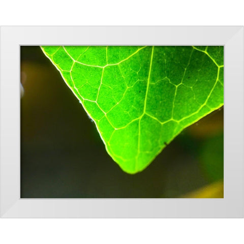 Green Leaf X White Modern Wood Framed Art Print by Grayscale