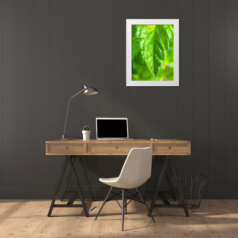 Green Leaf XI White Modern Wood Framed Art Print by Grayscale