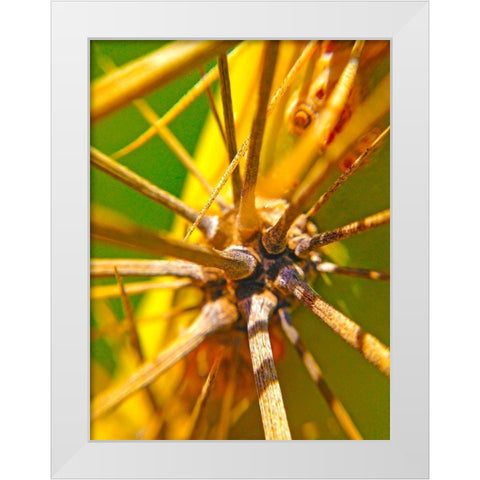 Cactus Spikes I White Modern Wood Framed Art Print by Grayscale