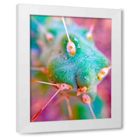 Cactus Spikes II White Modern Wood Framed Art Print by Grayscale
