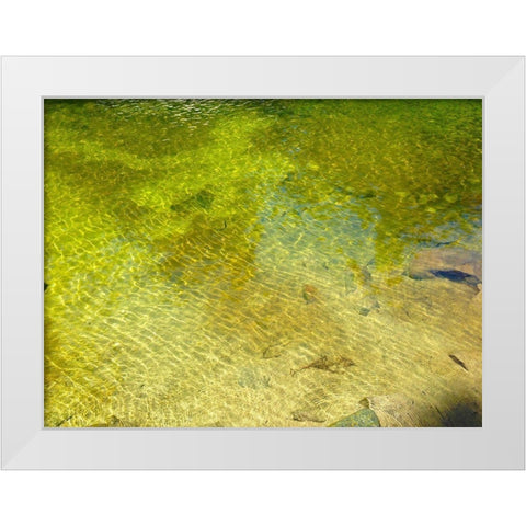 Water Scene I White Modern Wood Framed Art Print by Grayscale