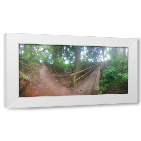 Forest Bridge I White Modern Wood Framed Art Print by Grayscale