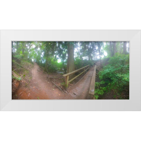 Forest Bridge I White Modern Wood Framed Art Print by Grayscale