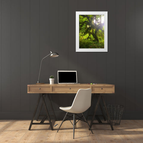 Rainforest I White Modern Wood Framed Art Print by Grayscale
