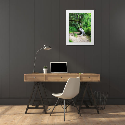 Rainforest IV White Modern Wood Framed Art Print by Grayscale