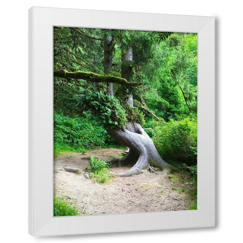 Rainforest IV White Modern Wood Framed Art Print by Grayscale