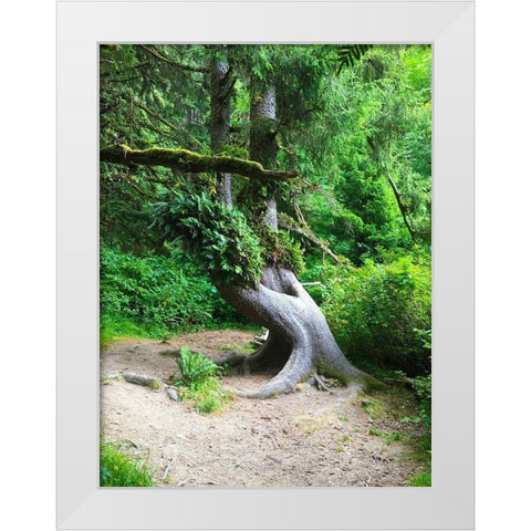 Rainforest IV White Modern Wood Framed Art Print by Grayscale