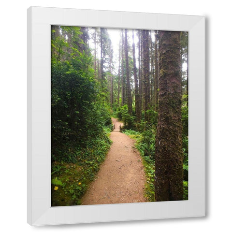 Forest Bridge II White Modern Wood Framed Art Print by Grayscale