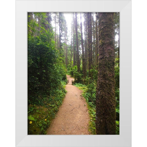 Forest Bridge II White Modern Wood Framed Art Print by Grayscale