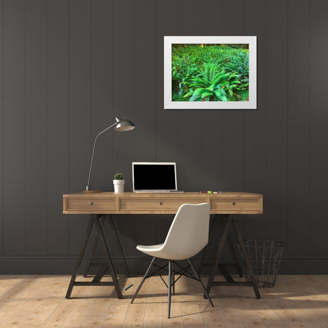 Forest Ferns I White Modern Wood Framed Art Print by Grayscale