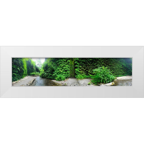 Fern Valley III White Modern Wood Framed Art Print by Grayscale