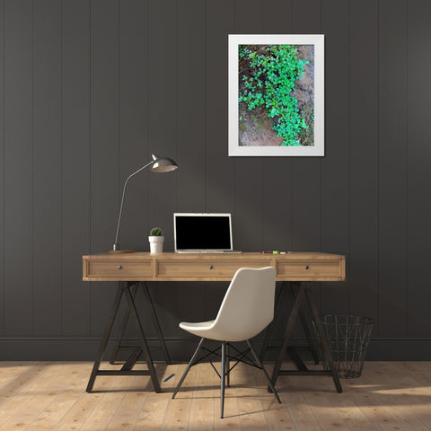 Ground Cover I White Modern Wood Framed Art Print by Grayscale