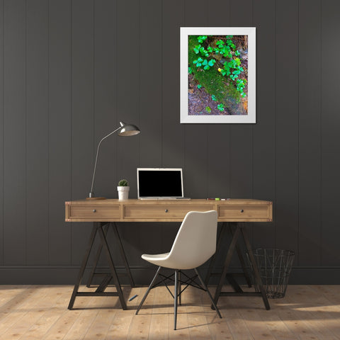 Ground Cover III White Modern Wood Framed Art Print by Grayscale