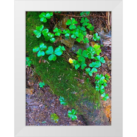Ground Cover III White Modern Wood Framed Art Print by Grayscale