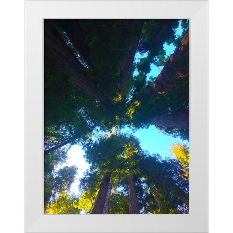 Tree Canopy IX White Modern Wood Framed Art Print by Grayscale