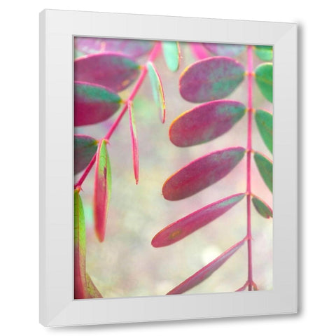 Round Leaves I White Modern Wood Framed Art Print by Grayscale