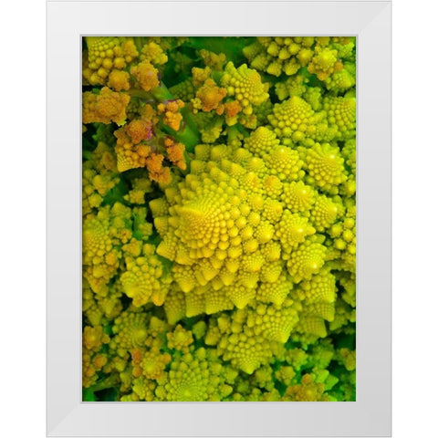 Natural Fractals I White Modern Wood Framed Art Print by Grayscale