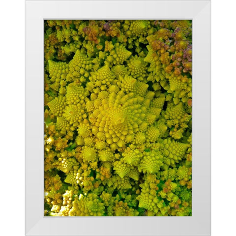 Natural Fractals II White Modern Wood Framed Art Print by Grayscale