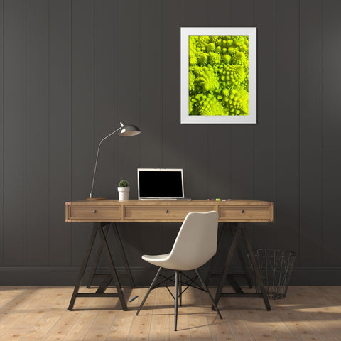 Natural Fractals III White Modern Wood Framed Art Print by Grayscale