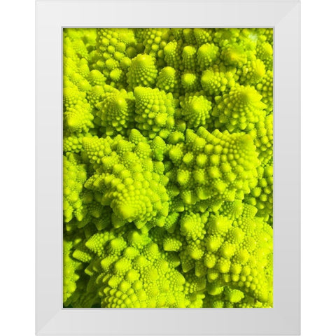 Natural Fractals III White Modern Wood Framed Art Print by Grayscale