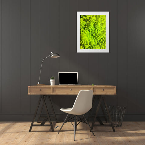 Natural Fractals IV White Modern Wood Framed Art Print by Grayscale