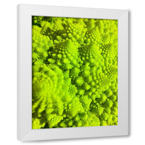 Natural Fractals IV White Modern Wood Framed Art Print by Grayscale