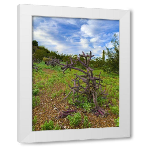 Desert Color I White Modern Wood Framed Art Print by Grayscale