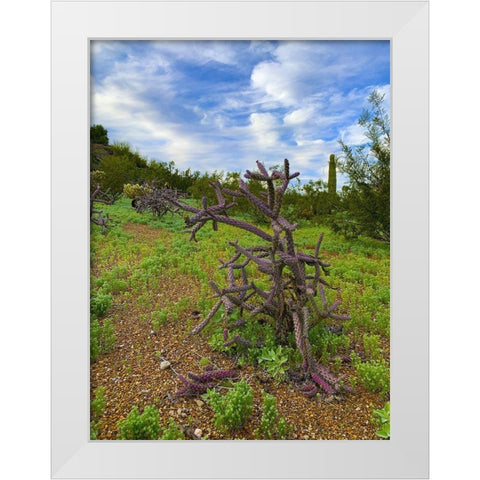 Desert Color I White Modern Wood Framed Art Print by Grayscale