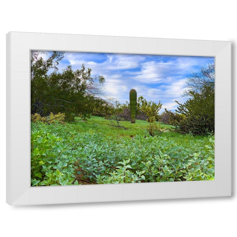 Desert Color II White Modern Wood Framed Art Print by Grayscale