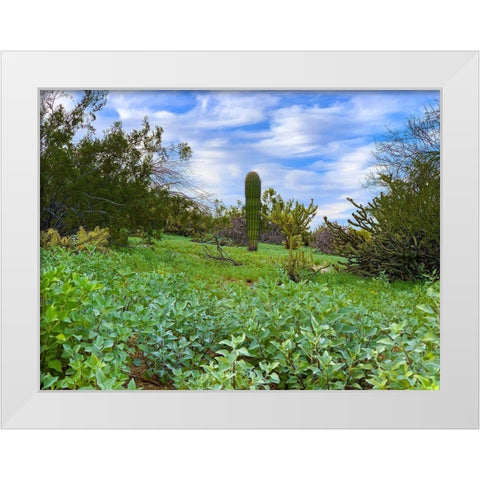 Desert Color II White Modern Wood Framed Art Print by Grayscale