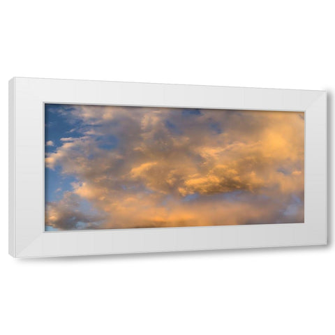 Cloudy Sky II White Modern Wood Framed Art Print by Grayscale