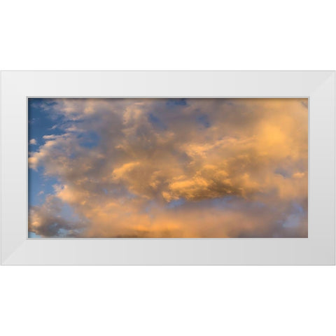 Cloudy Sky II White Modern Wood Framed Art Print by Grayscale