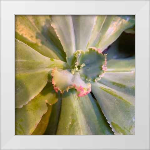 Ribbons IV White Modern Wood Framed Art Print by Grayscale