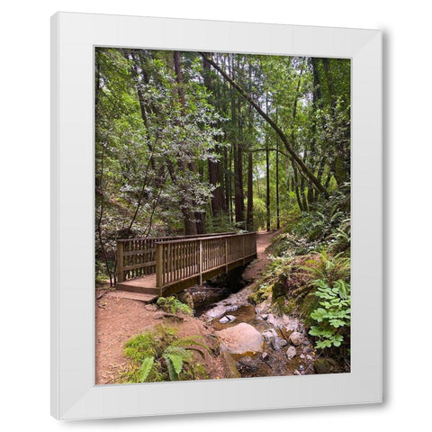 Forest Bridge III White Modern Wood Framed Art Print by Grayscale