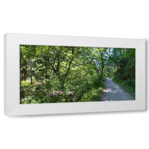 Forest Canopy II White Modern Wood Framed Art Print by Grayscale