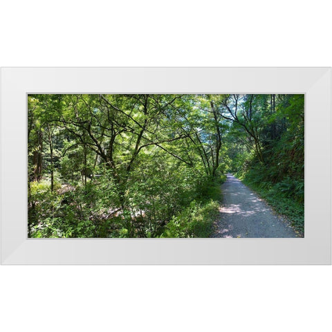 Forest Canopy II White Modern Wood Framed Art Print by Grayscale