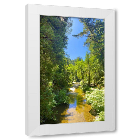 Salmon Stream I White Modern Wood Framed Art Print by Grayscale