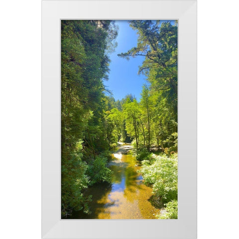 Salmon Stream I White Modern Wood Framed Art Print by Grayscale